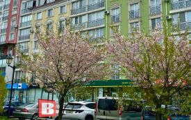 Сильні заморозки і дощ: погода на Хмельниччині 29 квітня