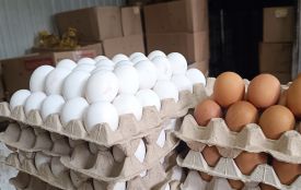 Яйця дешевшають: які ціни на прилавках Хмельницького