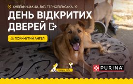 У гості до пухнастиків: День відкритих дверей у хмельницькому притулку для тварин (соціальна реклама)