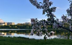 На Хмельниччину повертається тепло: погода на 15 травня