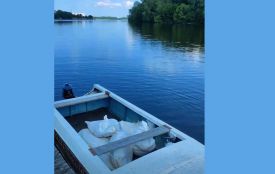 Південний Буг та озеро у Хмельницькому очищують вапном