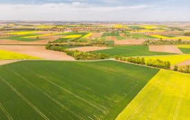 Хмельниччина — серед лідерів за кількістю угод із продажу землі