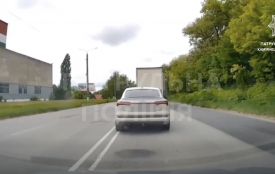 На Хмельниччині оштрафували водія, який збив собаку та поїхав геть