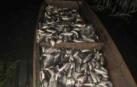 У Хмельницькому районі браконьєри наловили риби на 2 мільйони гривень