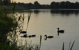 До +28 градусів: на Хмельниччину повертається спека