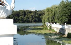 У неділю на Хмельниччині — до +38°: прогноз погоди