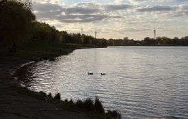Грози та сильний вітер: погода на Хмельниччині 8 липня
