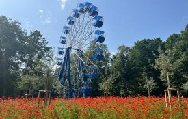 4 серпня на Хмельниччині зафіксували температурні рекорди