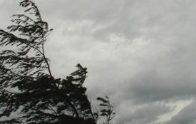 Через негоду без світла залишилися 42 тисячі споживачів Хмельниччини