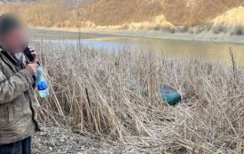 У Кам’янці засудили браконьєра, який наловив риби на 200 000 грн