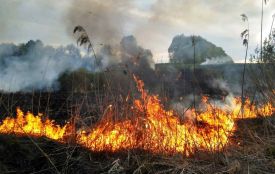 На Хмельниччині горіла суха трава. Постраждала пенсіонерка