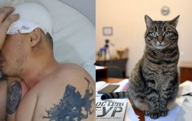 Привіз кішку з війни: у Хмельницькому нагадали про вчинок ветерана, якого побили в тилу