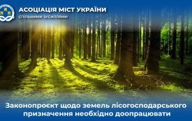 Законопроєкт щодо земель лісогосподарського призначення необхідно доопрацювати