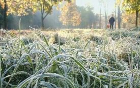 Синоптики попереджають хмельничан про заморозки