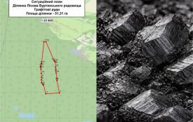 8,5 мільйона за графіт. Родовище на Хмельниччині виставили на торги