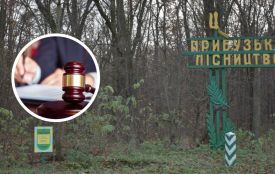 Змінили координати та перенесли ділянку в ліс: прокуратура Хмельницького повернула землі державі