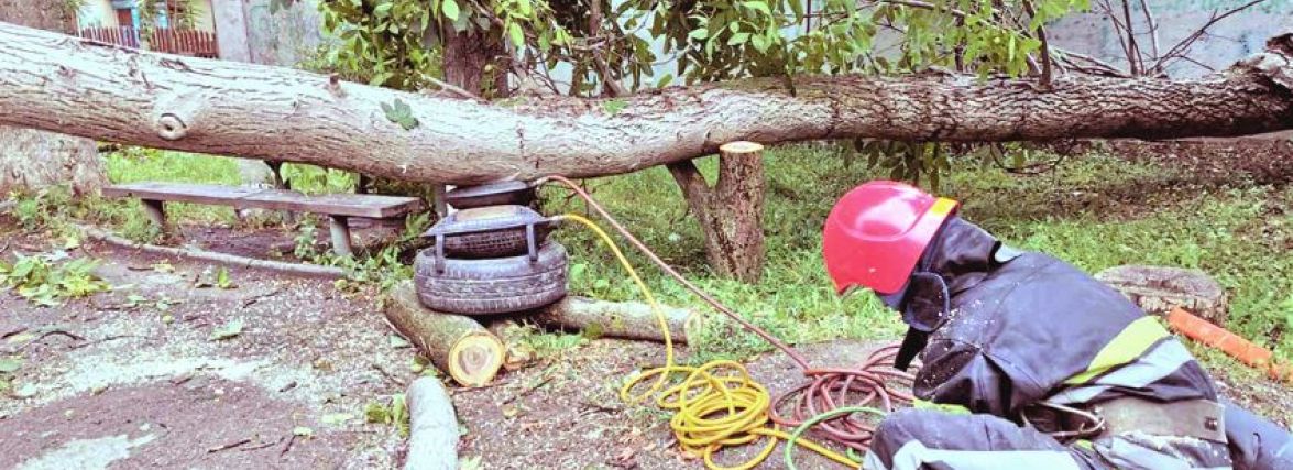 На Хмельниччині буревій повалив дерева, які перекрили рух транспорту