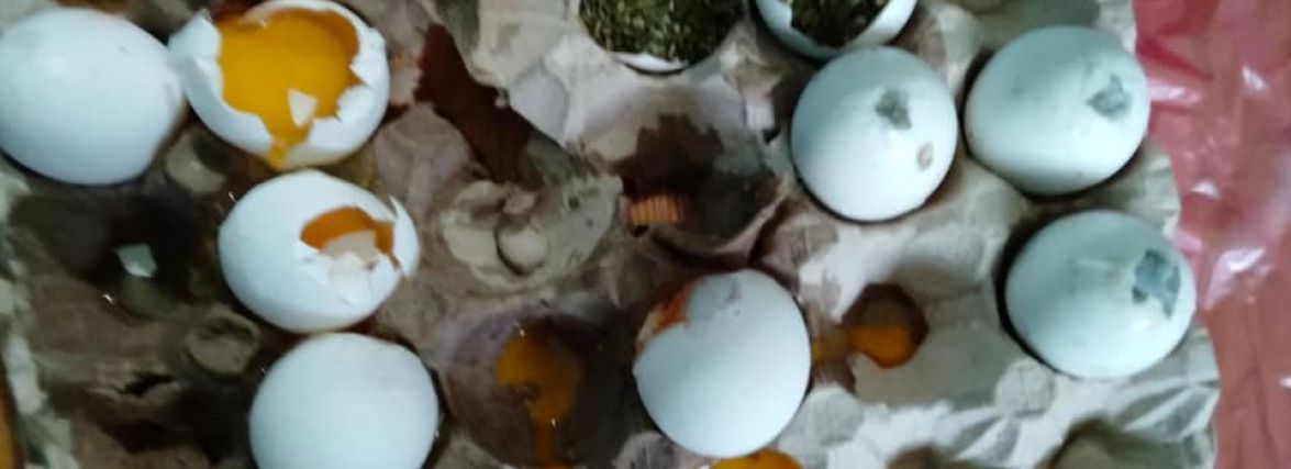 До хмельницького СІЗО надіслали "наркотичні" яйця (ФОТО)