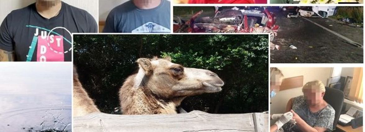 Від трагедії на воді до екскурсії зоокуточком: ТОП новини за 13 липня на ВСІМ