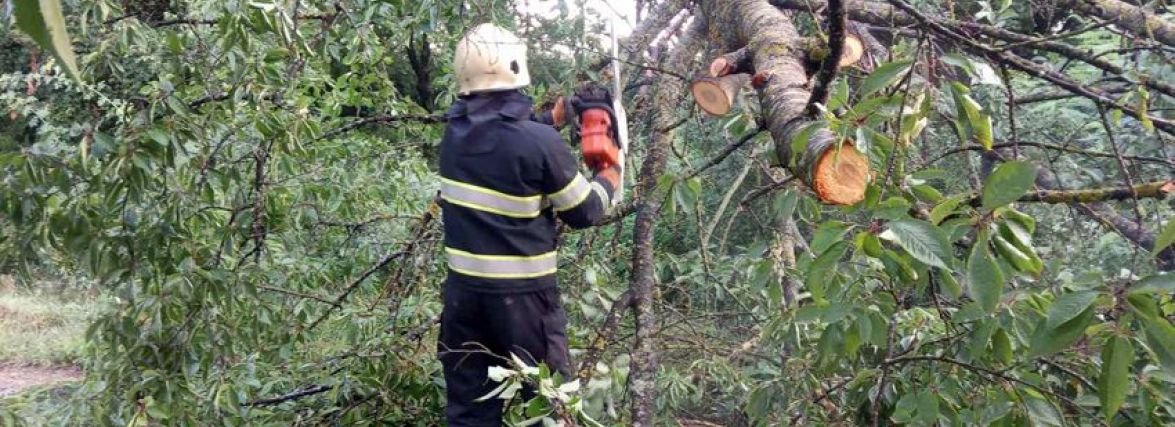 Дерево впало на перукарню і підтопило двори: наслідки негоди на Хмельниччині