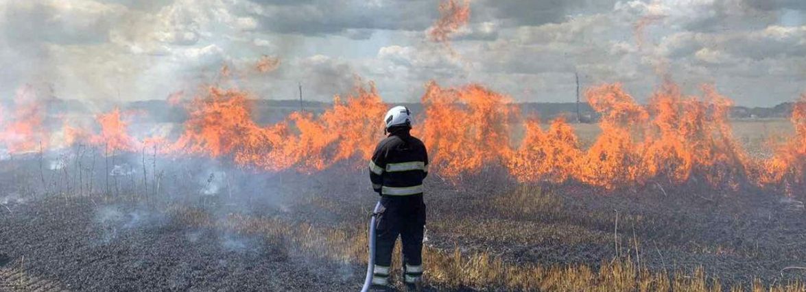 На Хмельниччині через падіння високовольтної лінії загорілось поле з пшеницею