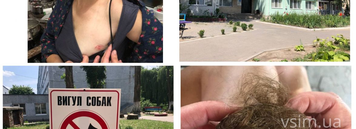 Жінки на Інститутській побилися за собак. Дві сторони конфлікту