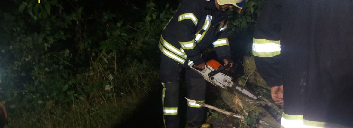 На Хмельниччині повалене вітром дерево заблокувало рух транспорту