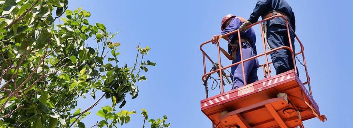 Де у Хмельницькому не буде світла 18 серпня (АДРЕСИ)
