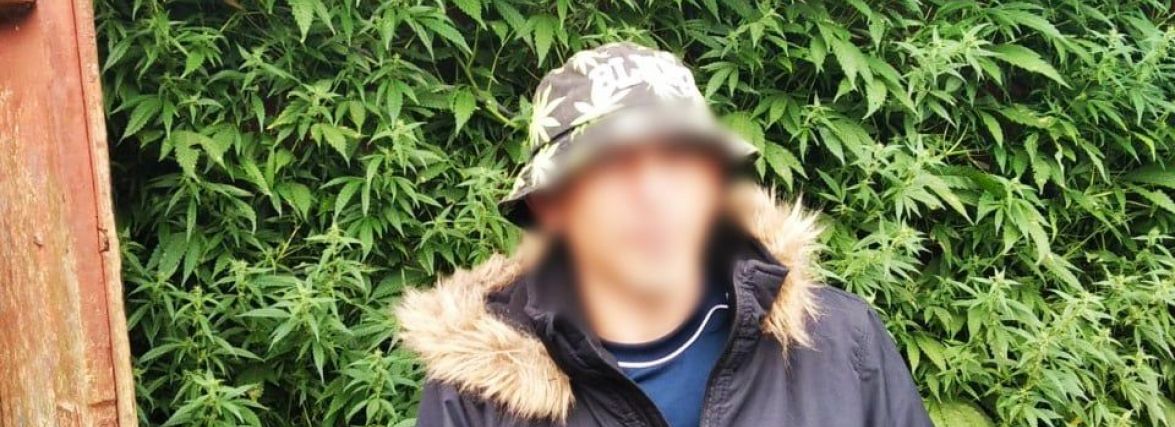 На Хмельниччині викрили трьох власників наркоплантацій