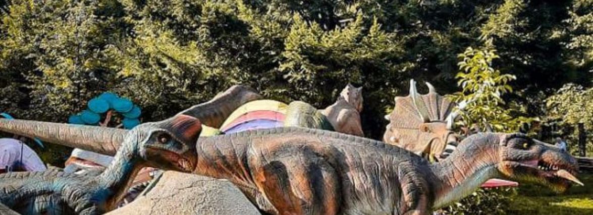 Повідомили дату відкриття динопарку в Хмельницькому