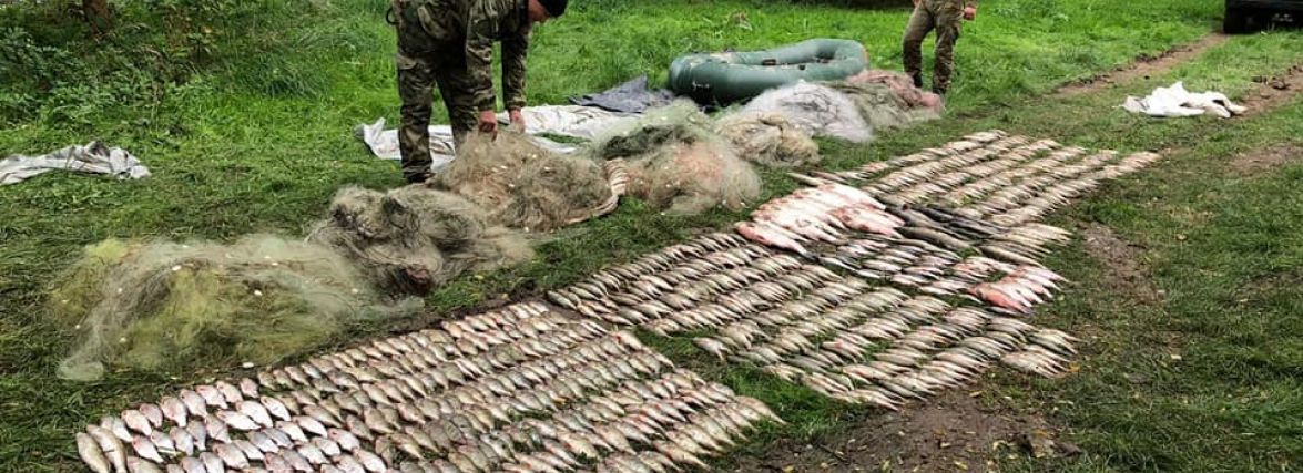 На Дністрі затримали чоловіків, які наловили понад 150 кілограмів риби