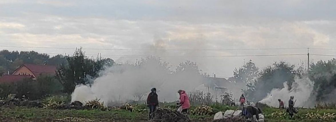 Полювання з дроном на паліїв листя: дізналися скількох і де спіймали