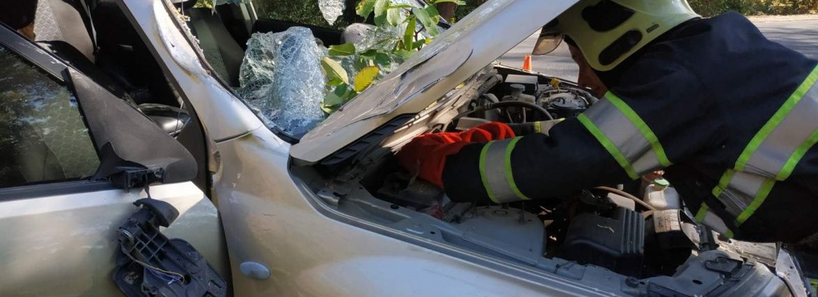 На Хмельниччині легковик “Suzukі” привалило гілкою дерева. Є постраждалий