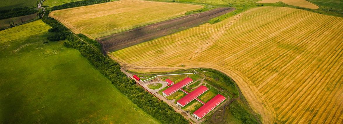 Маркетплейс LandInvest дає змогу продати землю «під ключ» (Новини компаній)
