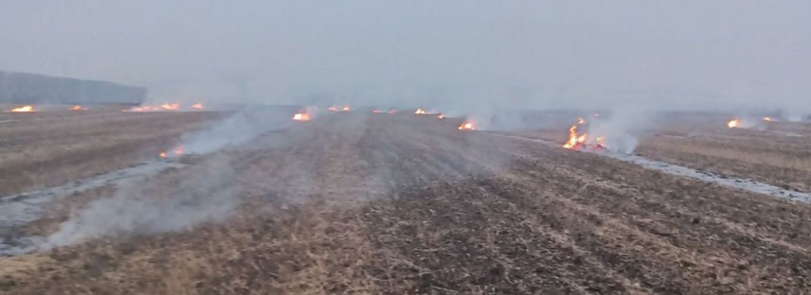 На Хмельниччині шукають палія, який вчинив пожежу на полі і втік