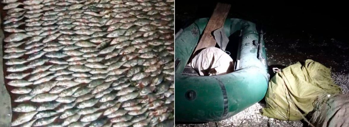 На Дністрі спіймали чоловіка, який наловив риби майже на мільйон гривень