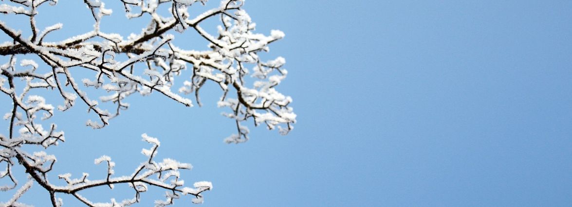 Якою буде погода в Хмельницькому 6 грудня