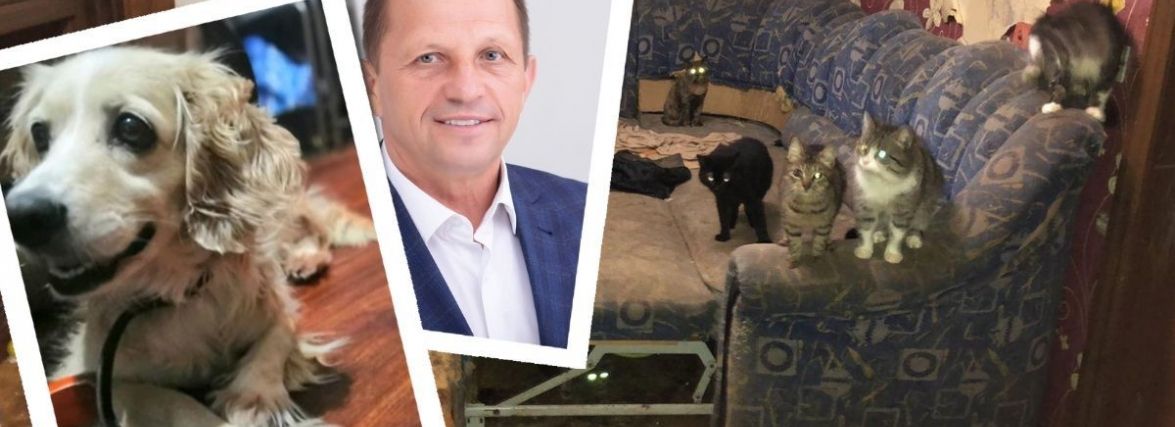 Винесли котів у мішках. У Києві стався скандал за участі мера Старокостянтинова