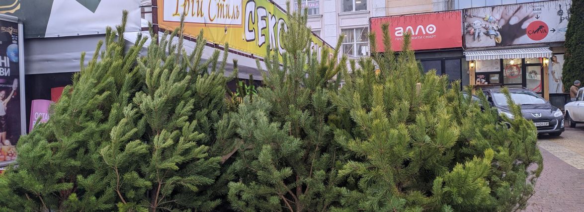 Коли і де у Хмельницькому з'являться ялинкові ярмарки