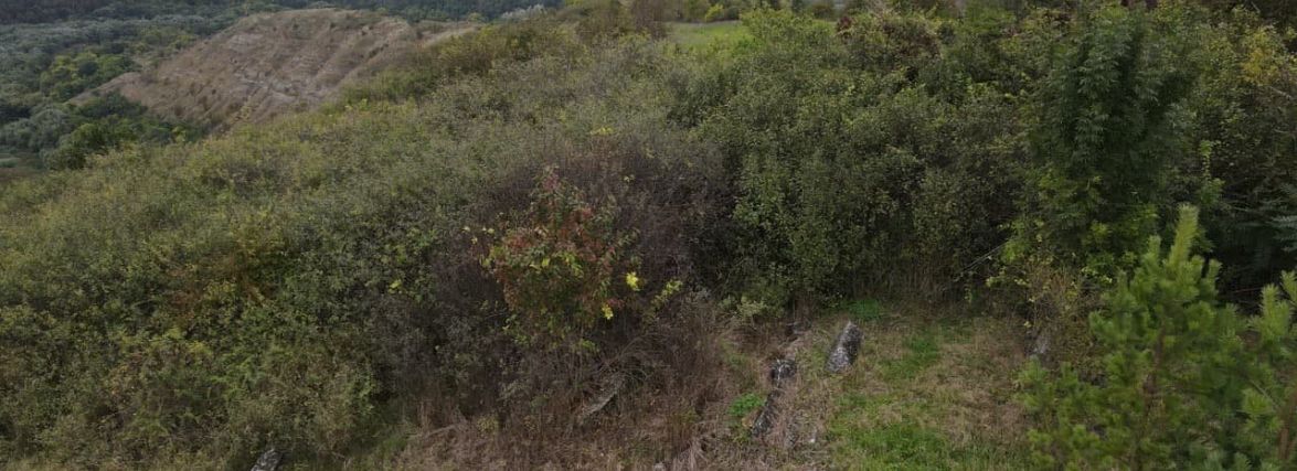 На Кам’янеччині розорали старе єврейське кладовище