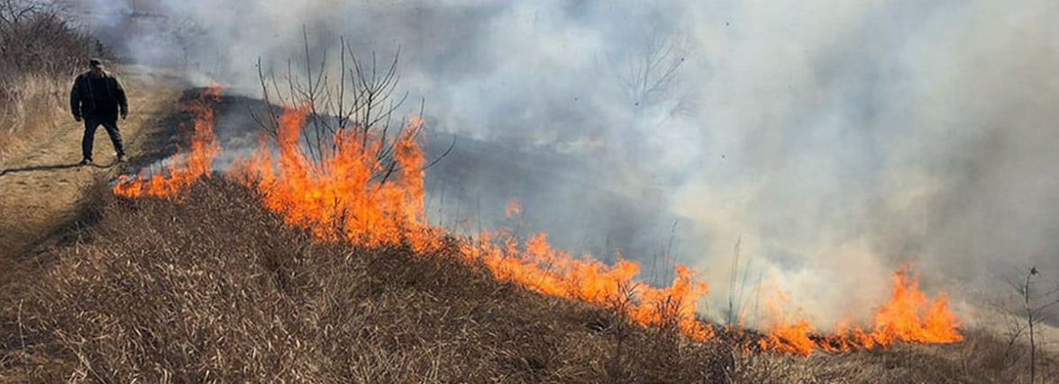 Не будьте подібними до орків - не паліть суху траву і сміття, - поліція Хмельниччини