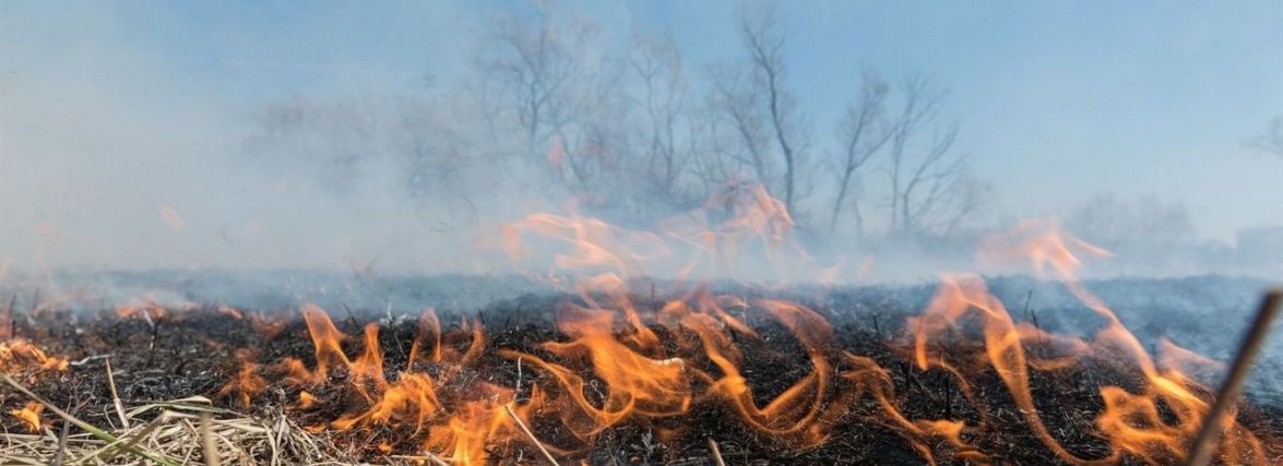 На Хмельниччині створять рейдові групи з моніторингу спалювання трави