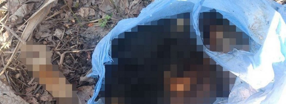 У Хмельницькому знайшли пакет з порубаною собакою. Поліція почала розслідування