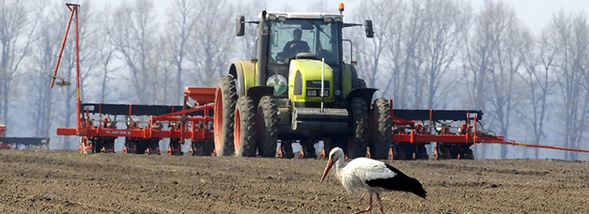 Посівна кампанія-2022 на Хмельниччині: аграрії не втрачають час