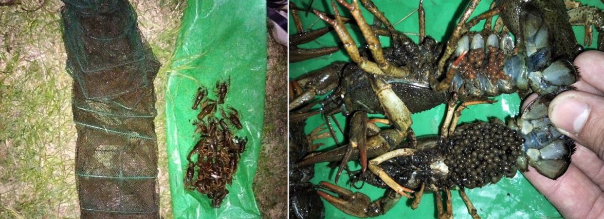 Нарибалив на 110 тисяч: у Нетішині затримали браконьєра