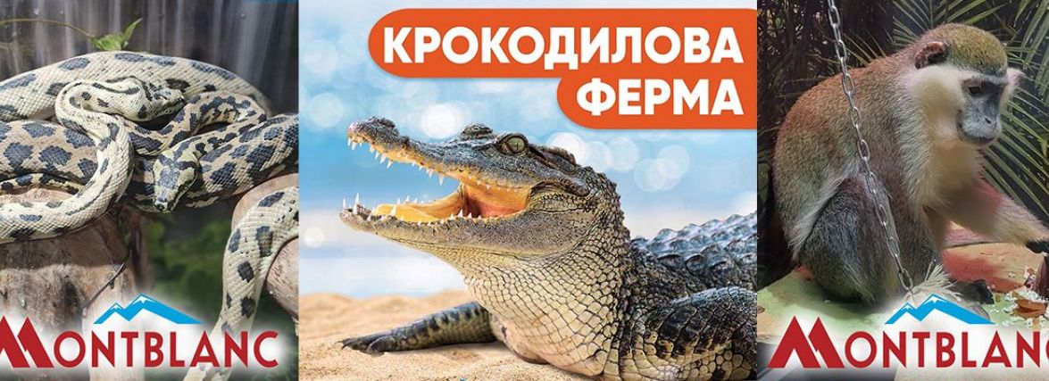Єдина в Україні «Крокодилова ферма» у Хмельницькому (Новини компаній)