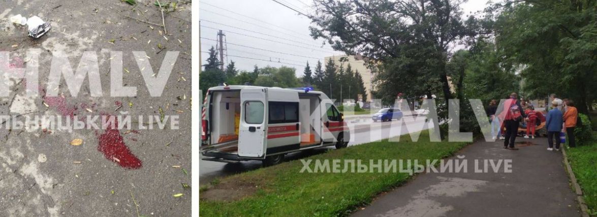 На Гречанах на жінку впало дерево. Її забрали до лікарні (ФОТО)