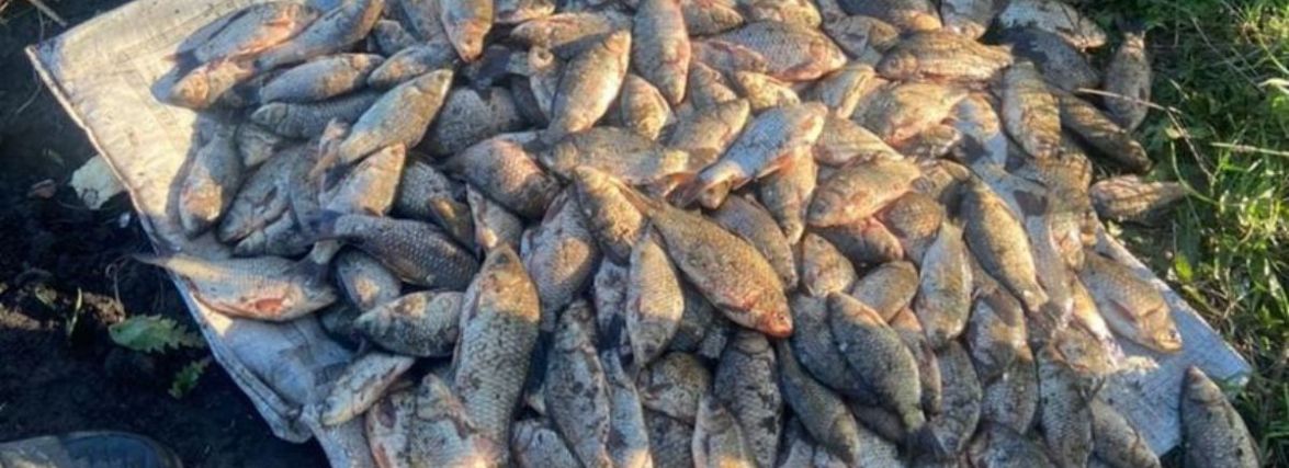 Браконьєр наловив риби на 350 тисяч гривень. Його судитимуть