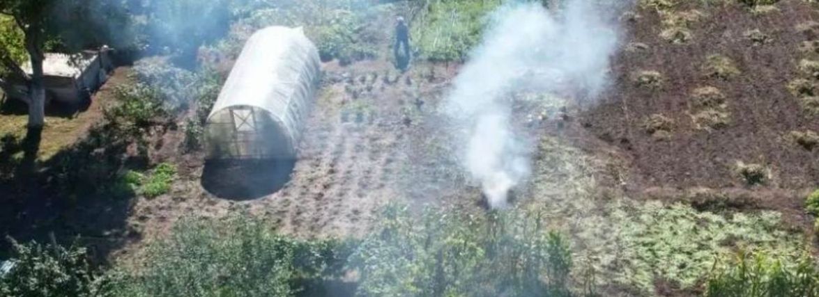 Хмельничани скаржаться на паліїв трави: чи бачить їх поліція та екологи