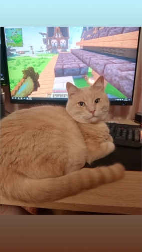 ...